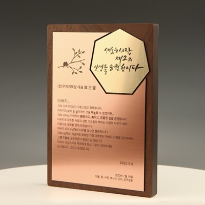 퇴직 감사 송공 감사패 E5223