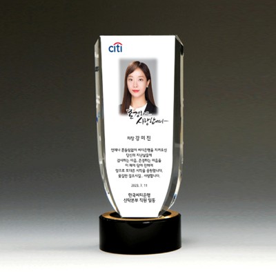 정년퇴임 송공 장기근속 사진감사패 PH1214G