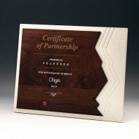 퇴임 송공 승진 재직 금속 감사패 E5162