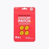 캐치미패치 수퍼 33매 (여드름패치 트러블 뾰루지 상처 스팟패치 습윤밴드)