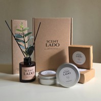 센트라도 디퓨저 유칼립투스 150ml+소이 캔들 2P 세트