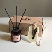 센트라도 미니 디퓨저 50ml+고체방향제 왁스타블렛 세트