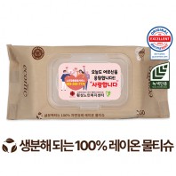 에코닉 생분해 브라운 캡형 물티슈 (100매 40g)