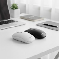 맥스틸 GM-WN100L 저소음 무선 광마우스