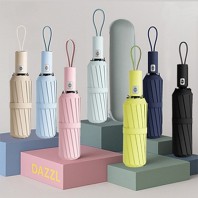 다즐 3단 대형 원터치 완전자동우산 10K 우산 하드파우치 포함 (풀칼라인쇄)