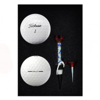 타이틀리스트 PRO V1 2구 자석티세트