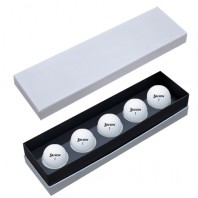 스릭슨 트라이스타  5구 고급 싸바리케이스 ST5