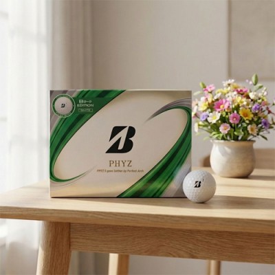 브리지스톤 파이즈 12구 (4pc)