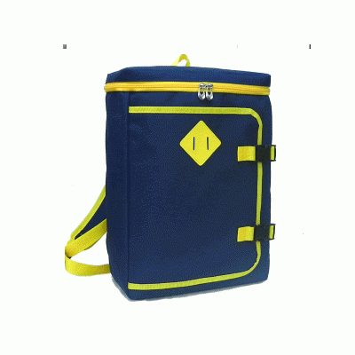 [국산] 학원배낭 H2104 (곤색)