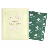 웜투데이 포켓워머 M 핫팩 80g / 국산