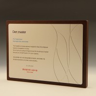 퇴임 재직 감사 원목 송공 상패 E5208