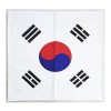 큰태극기손수건 / 스포츠 응원기