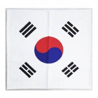 큰태극기손수건 / 스포츠 응원기