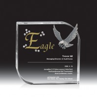 9100 크리스탈 골프 트로피 (140*140*35mm)