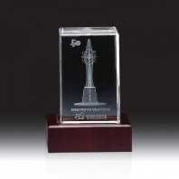 3770 3D레이저 문진 (75*105*75mm)