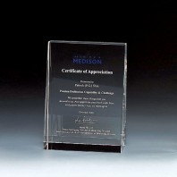 2606 크리스탈 상패 (110*150*40mm)