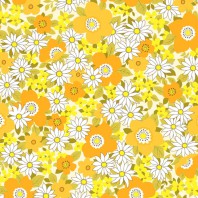 아사 가제스카프, 53x53cm