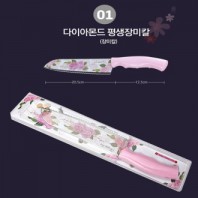 다이아몬드 평생 장미칼