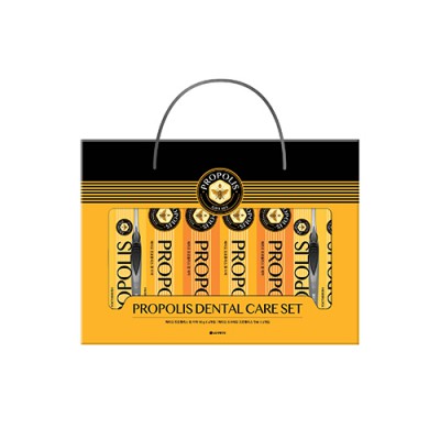 LG 다올 프로폴리스 덴탈세트 2530