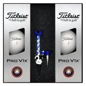 타이틀리스트 PRO V1x 6구 자석티세트