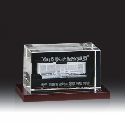 3778 3D레이저 문진 (120*67*80mm)