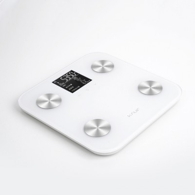 프리미엄 스마트폰 앱연동 스마트 인바디 체중계 고해상도 LCD패널 디지털 체중계 EM-24