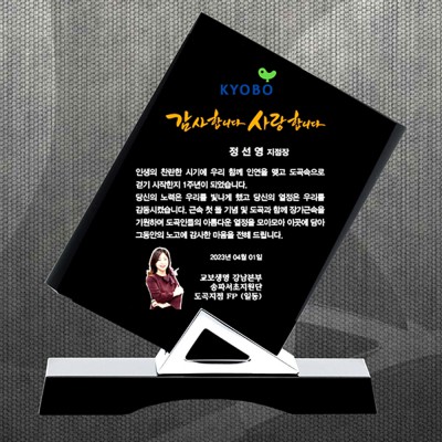 감사 재퇴직기념 공로패 DS12-19-1