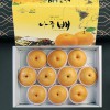 [더기다림과일] 배 선물세트 1호7.5kg(8~10과)