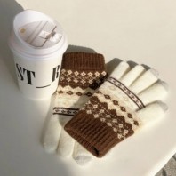 남녀공용 북유럽감성 노르딕 스마트폰 터치장갑 (5가지색상)