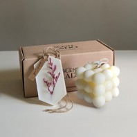 센트라도 미니 오브제 캔들+고체방향제 왁스타블렛 세트