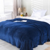 로페리아 플랄넬 코랄 융단 무지 단색 담요_대(180*200cm)+에코백(0215534)