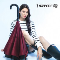 [레그넷] 와푸 DN. 거꾸로 우산(접는자동). 장우산