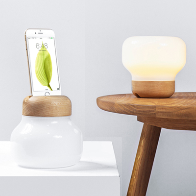 따뜻한 감성 조명. 아이폰 전용 충전용 거치 무드등 고사리 ML5000.