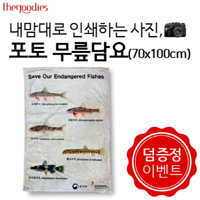 내맘대로 인쇄하는 사진, 포토 무릎담요 70x100cm