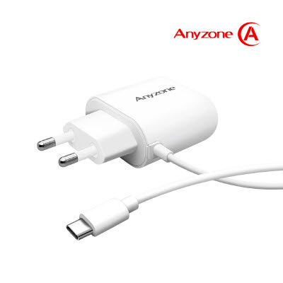 애니존 C-TYPE 가정용 충전기 ANY-CA10W