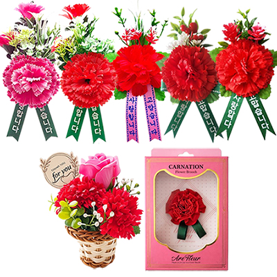 카네이션 모음