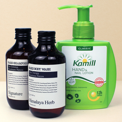 독일정품 카밀 핸드로션 펌프형 나드 샴푸 세트